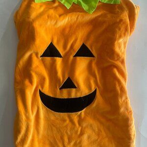 Pumpkin Dog Costume